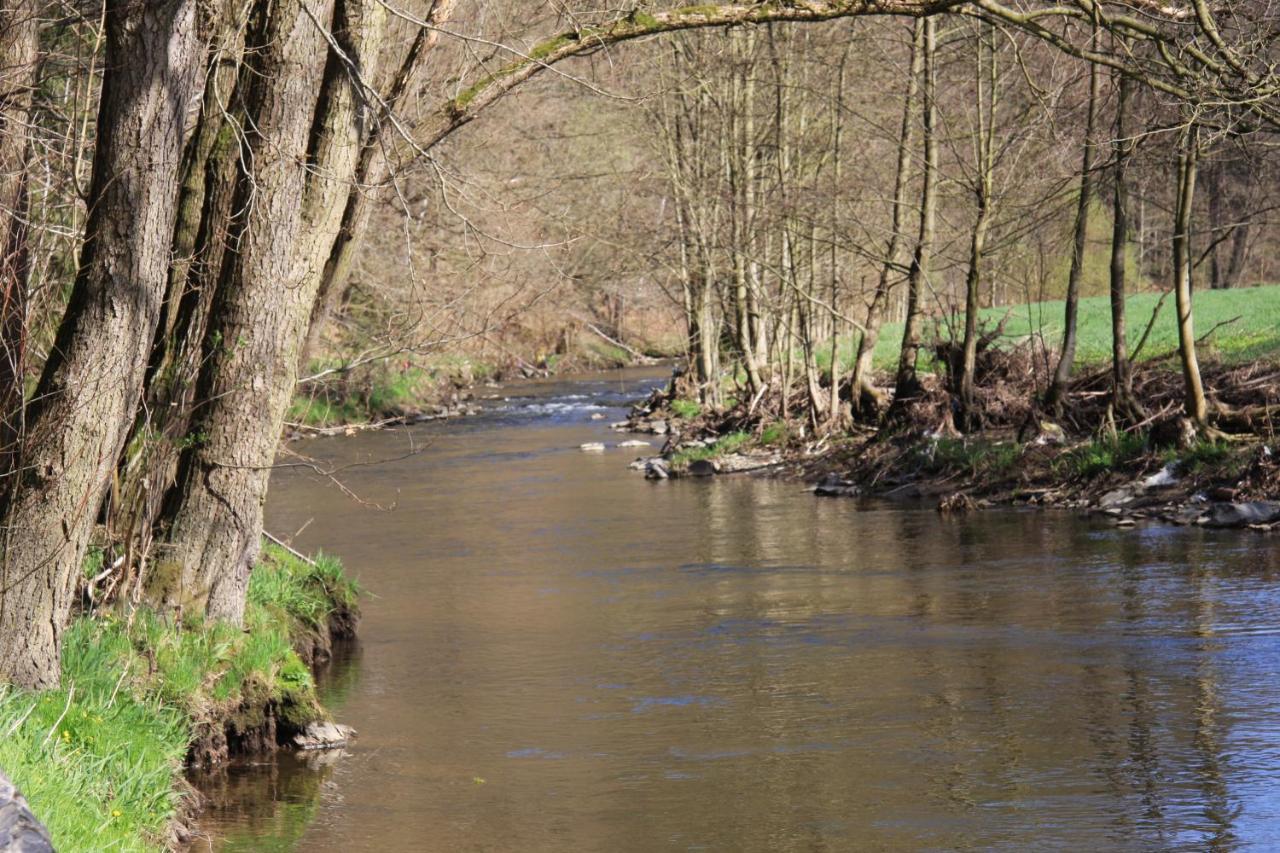 Hotel Waldfrieden Elsterberg Eksteriør bilde